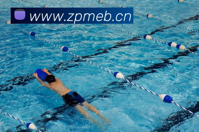 九游网页版入口登录平台生态图